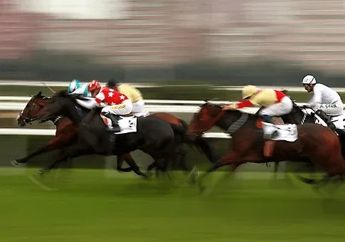 corrida-cavalo