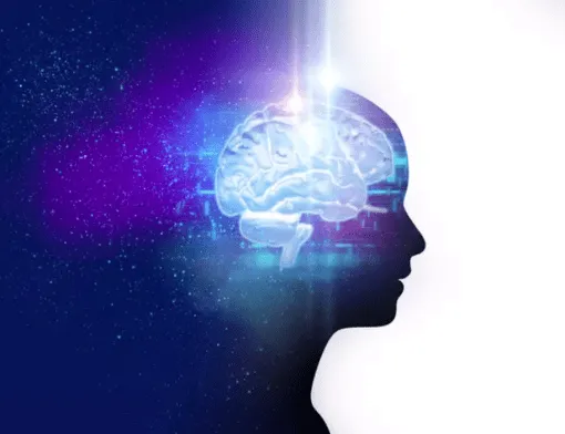 cerebro