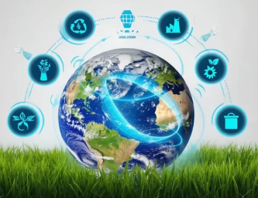 Economia Circular Exemplos Práticos