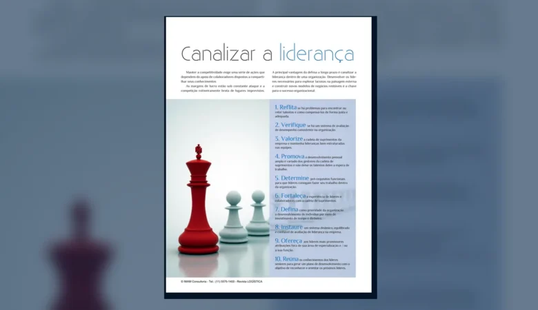 Capa do artigo do acervo técnico da IMAM sobre pipeline de liderança